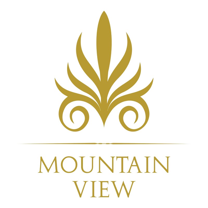 next-consultancy-mountain-view