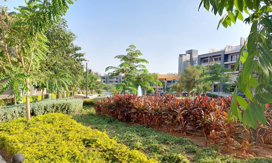 midtown-next-consultancy-1