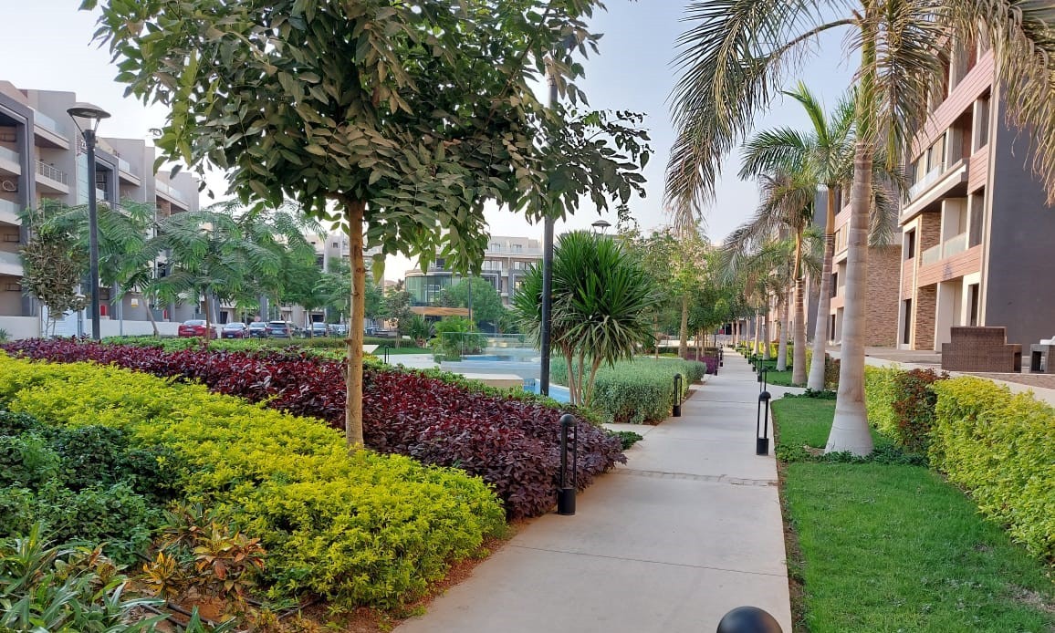 midtown-next-consultancy-4