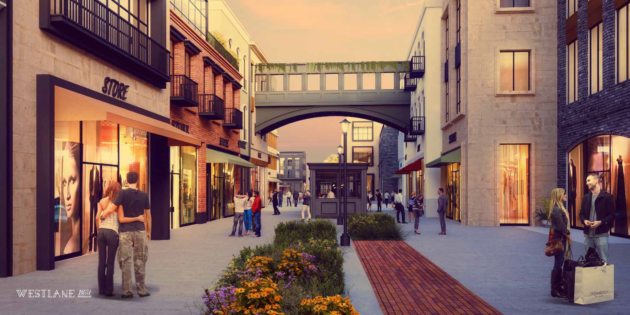 Westlane-next-consultancy-2