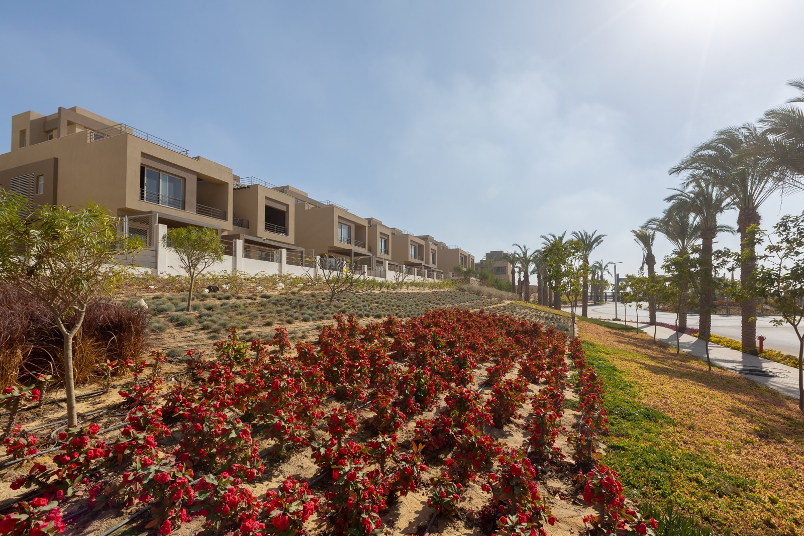 20220113-Palm-Hills-New-Cairo-28